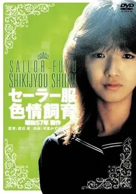 山雨欲来客栈古装武侠电影在线观看